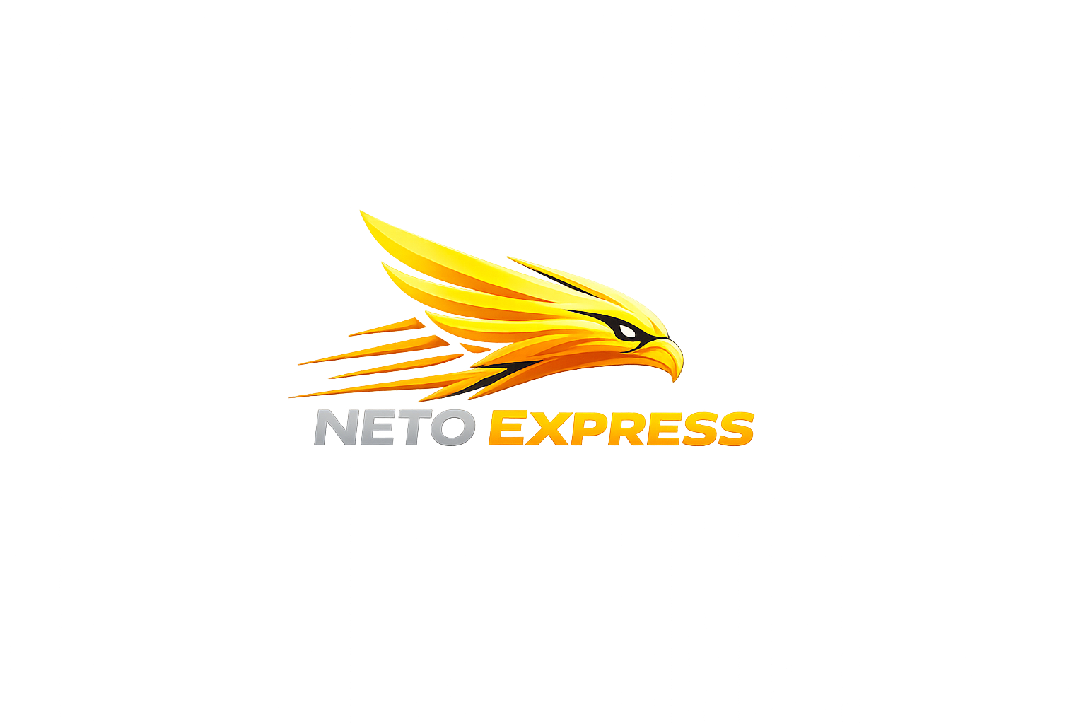 Neto Express